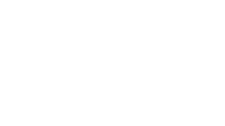 Fellow Human