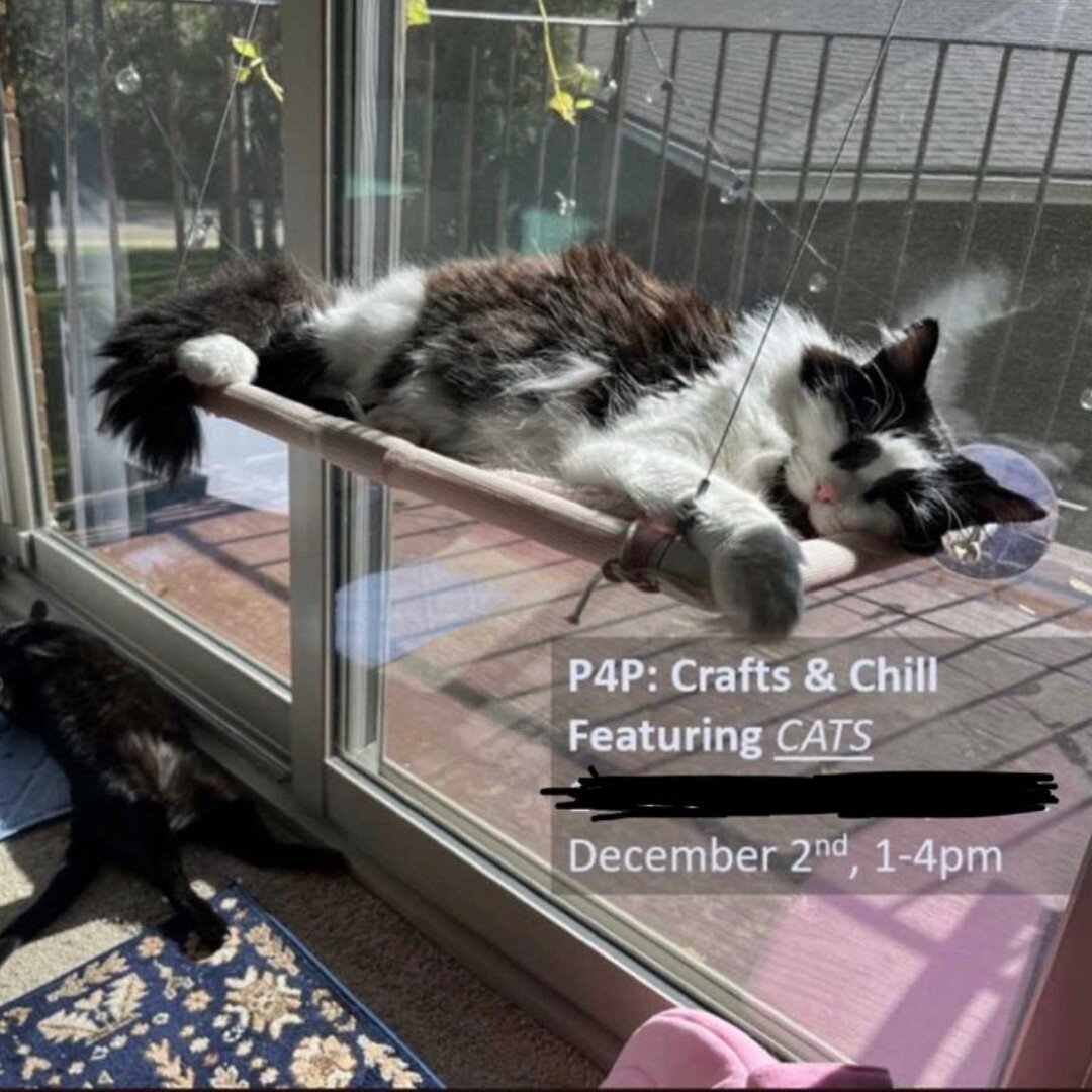 Payment for Placements at the University of Michigan @p4pumich is bringing social work students together to unwind at the Craft &amp; Chill event on Saturday, December 2, from 1&ndash;4 PM ET.

P4P at UMich will provide relaxing crafts, warm beverage