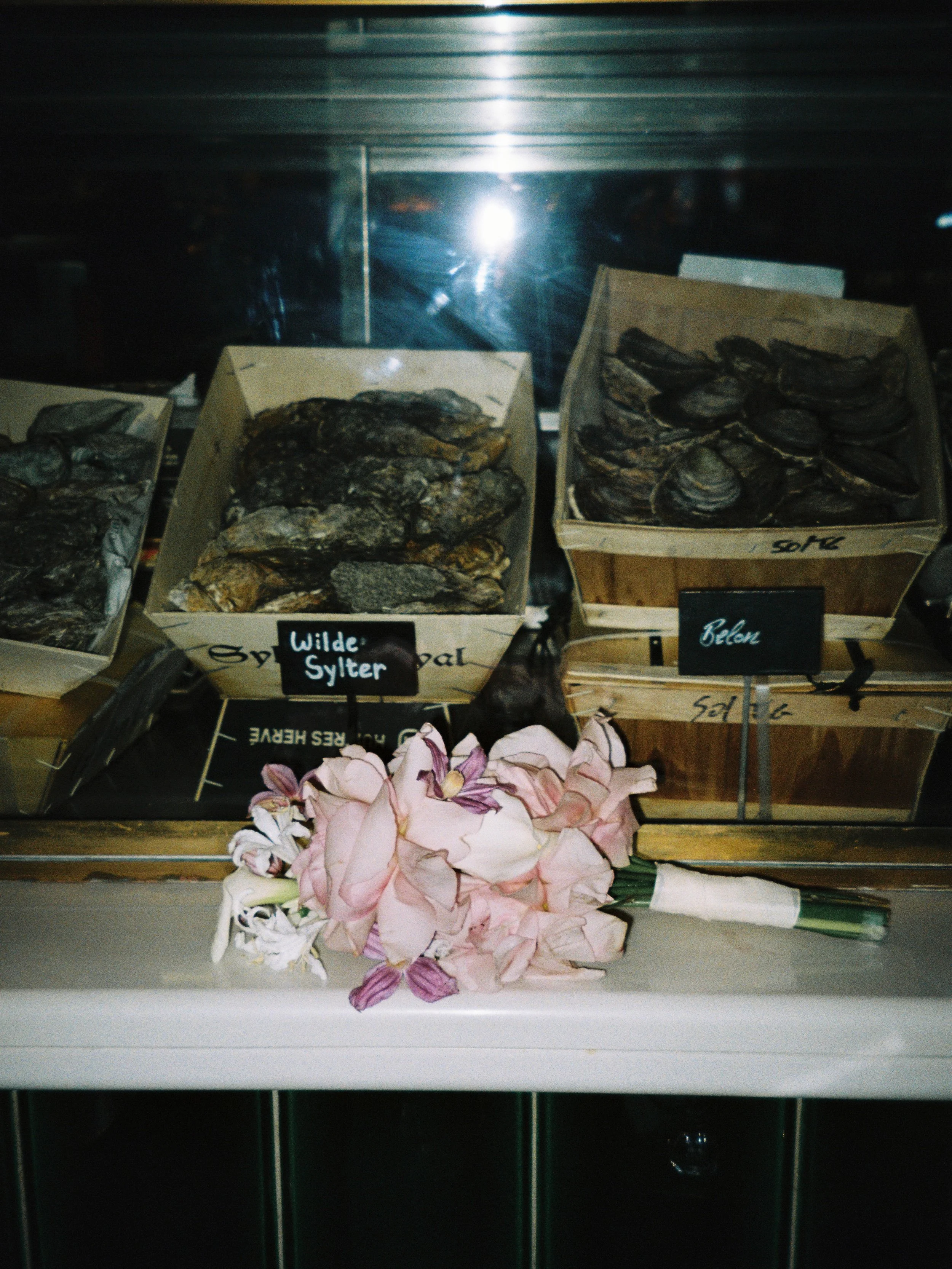 film-photography-33.jpg