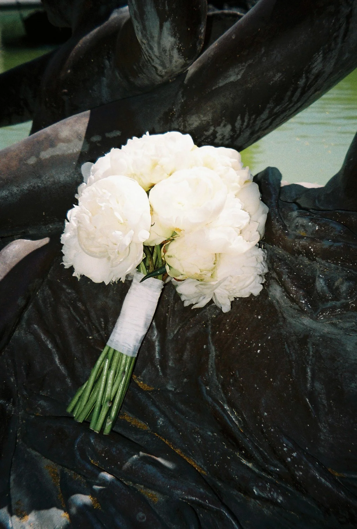 film-photography-68.jpg