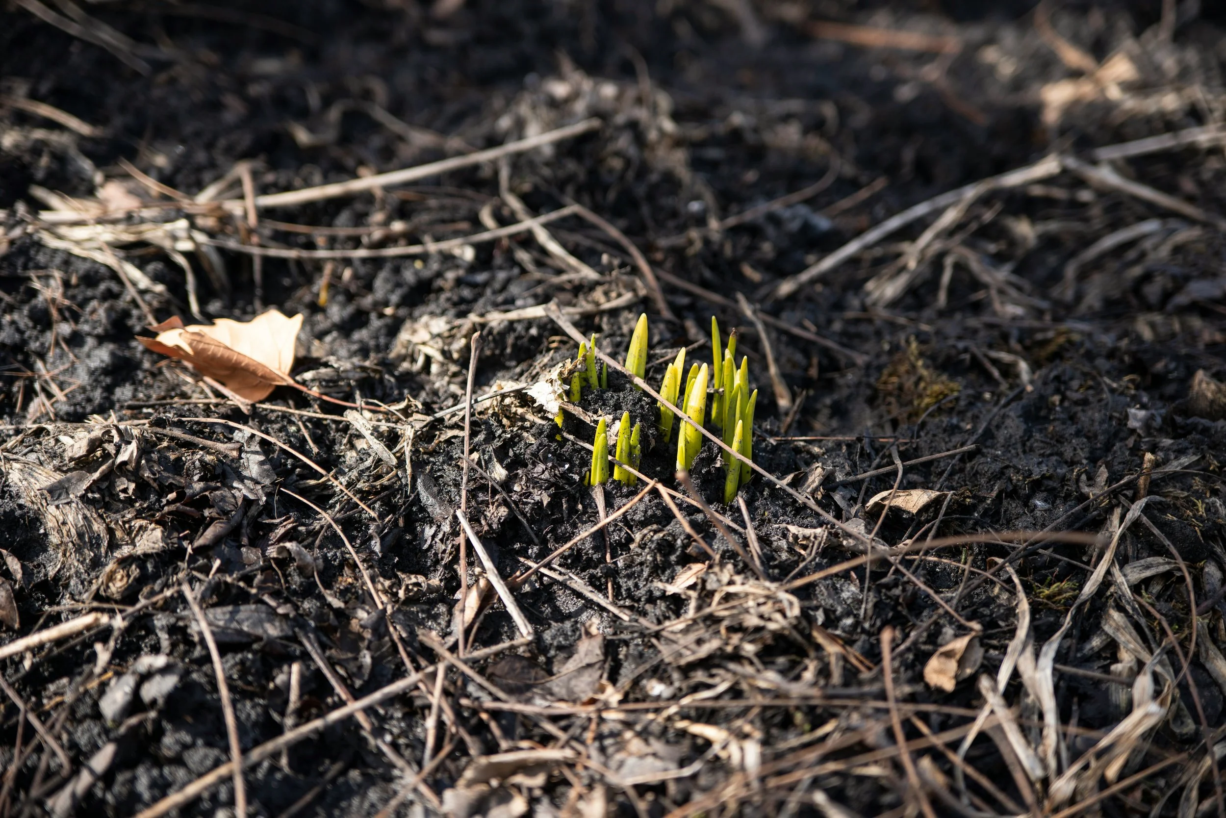 Don’t Just Go Through It; GROW Through It