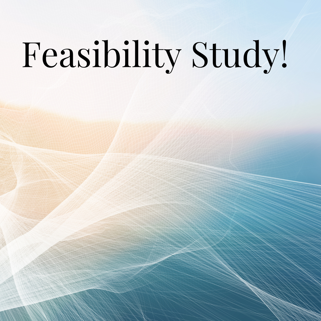 Feasibility Study - on Zoom