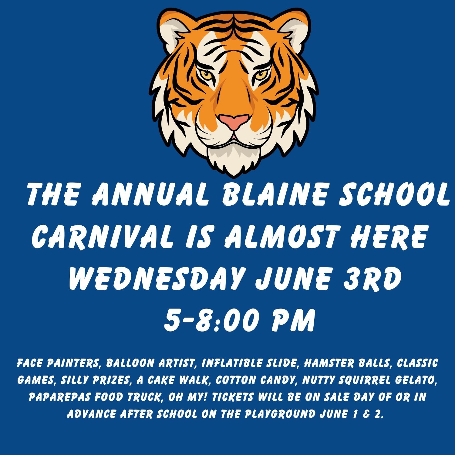 Annual Blaine School Carnival 