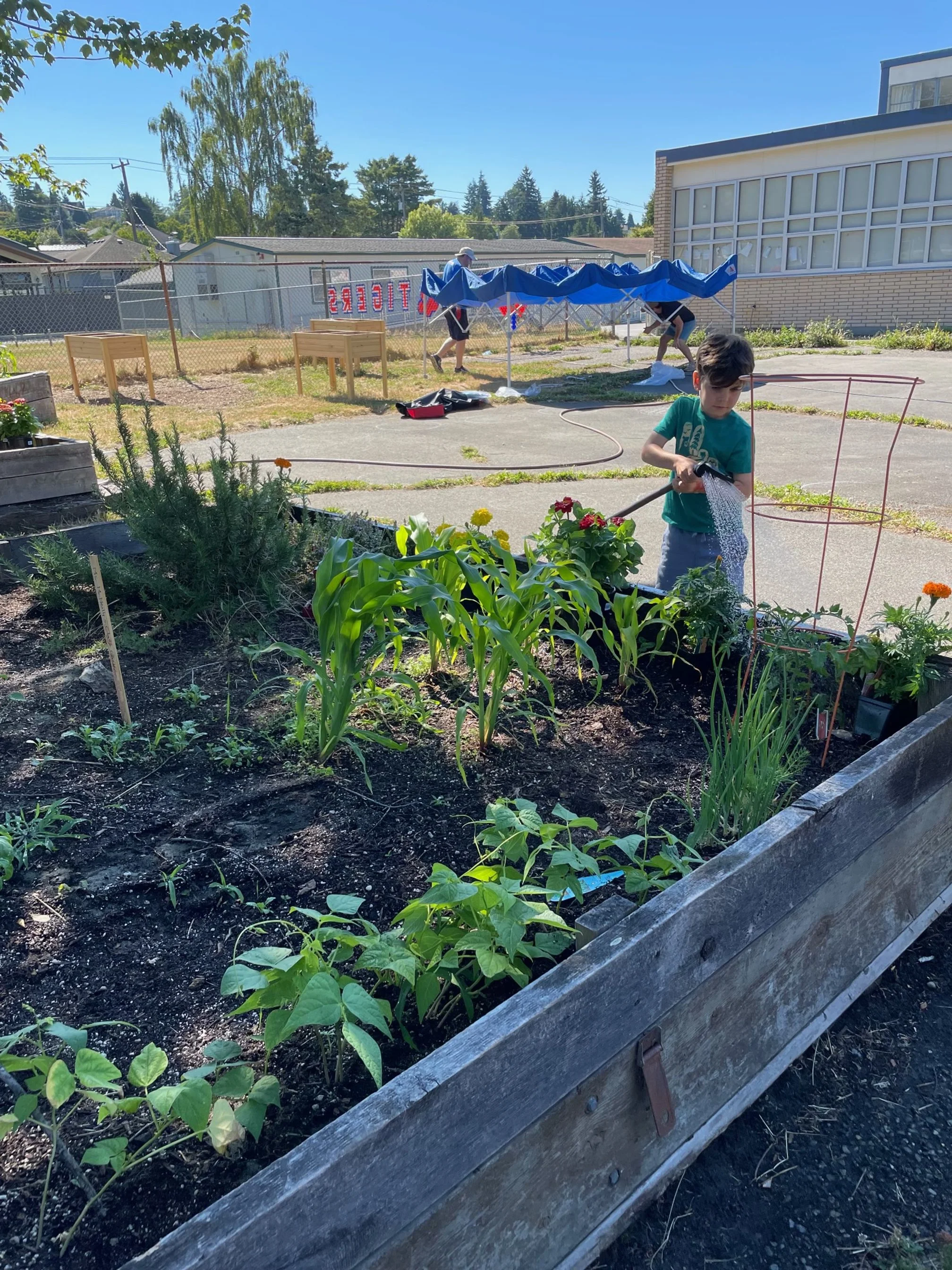 student watering the garden
