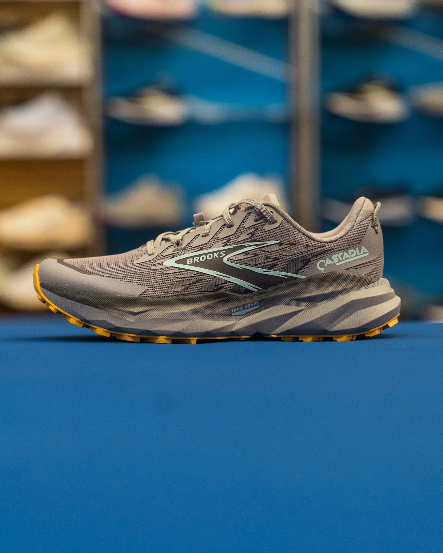 A long time Brooks trail stable receives a brand new update in the Brooks Cascadia 19!! The Cascadia franchise has been well known for its stable platform and durability across all types of trails whether it&rsquo;s running or hiking. 

With a 4mm dr