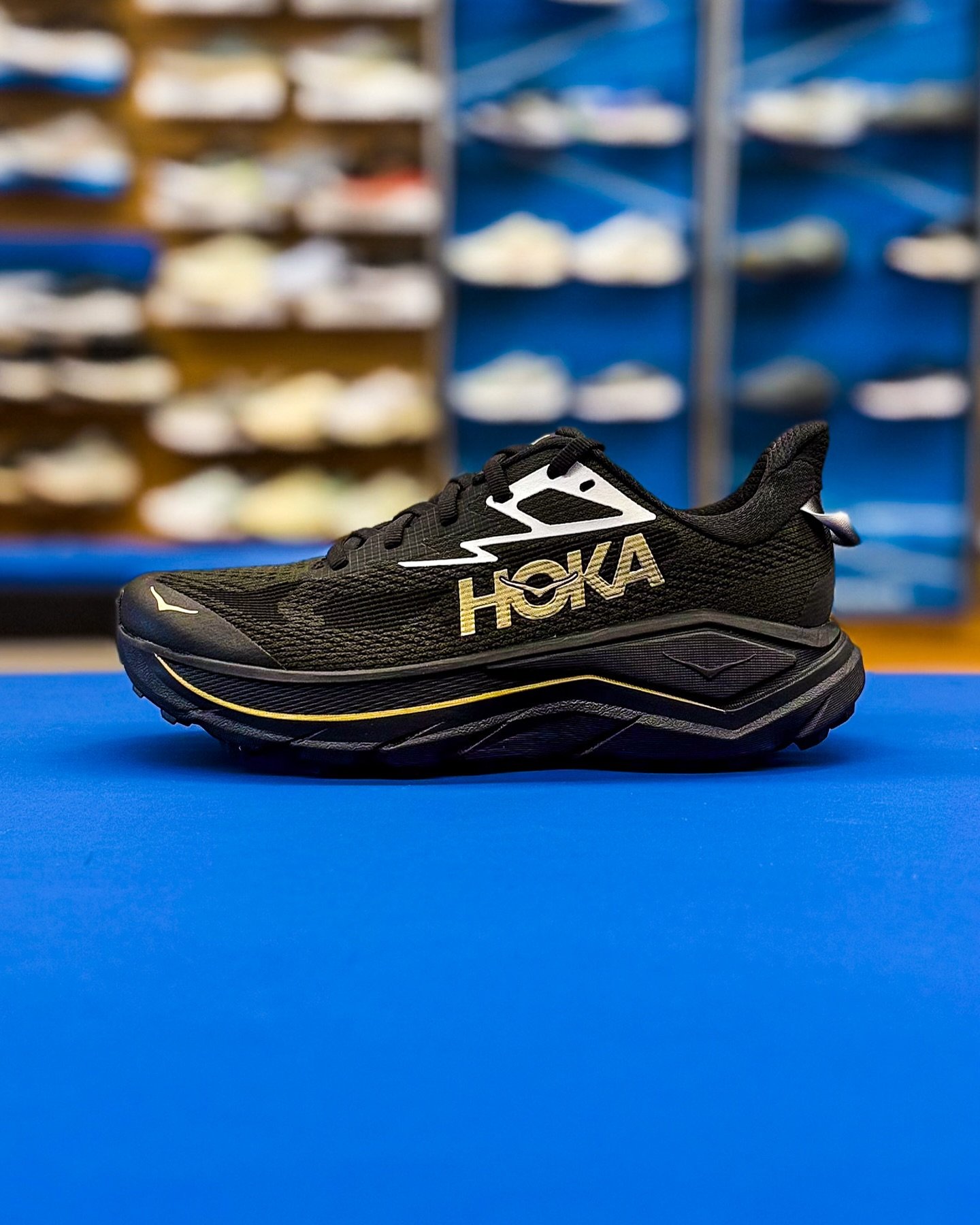 A LIMITED EDITION color in the HOKA Challenger 8 just rolled in ready for both on and off the trails!! 

Designed for both road and trail, the HOKA Challenger 8 is a well-cushioned, all-terrain shoe that offers a comfortable ride and reliable grip fo