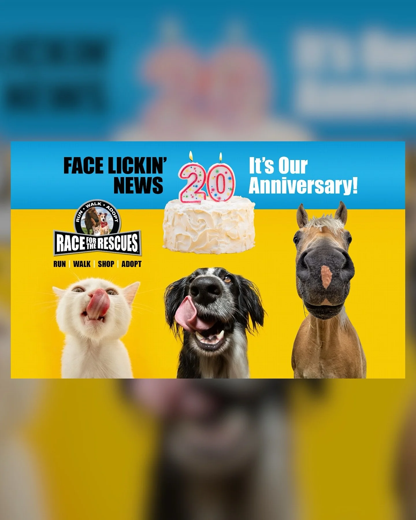 Looking to support a pet friendly event and spend time with furry friends? Check out the Race for the Rescues event happening THIS weekend and use CODE: FFPRUNCLUB2025 for a special discount. 

For more info and to register check out the link in the 