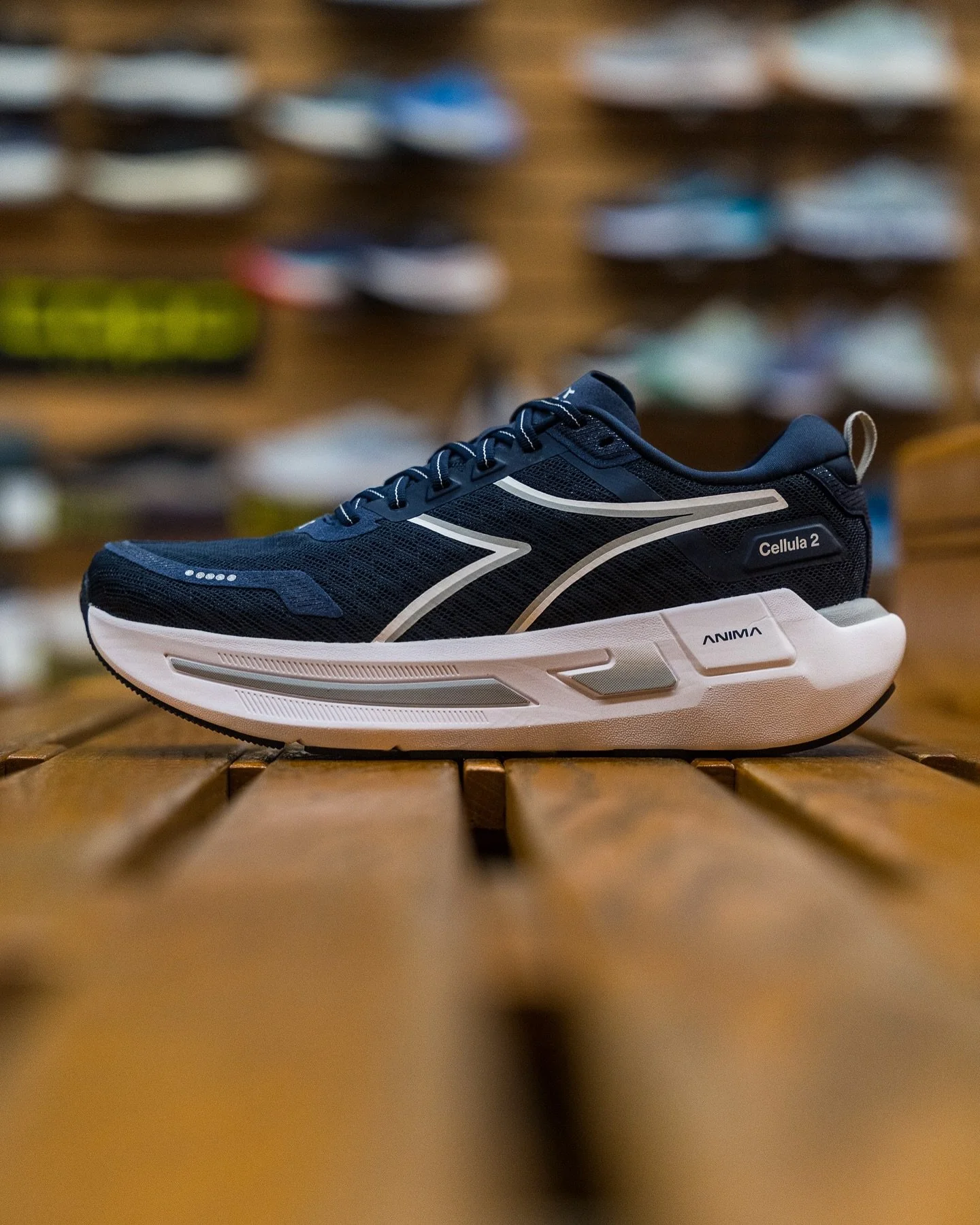 The Diadora Cellula 2 | The same performance, with an updated design to&nbsp;improve overall bounce and reduce muscle fatigue. Cellula&nbsp;is a neutral running shoe for&nbsp;everyday training&nbsp;and&nbsp;long-distance runs. 

Bonus: The look sleek
