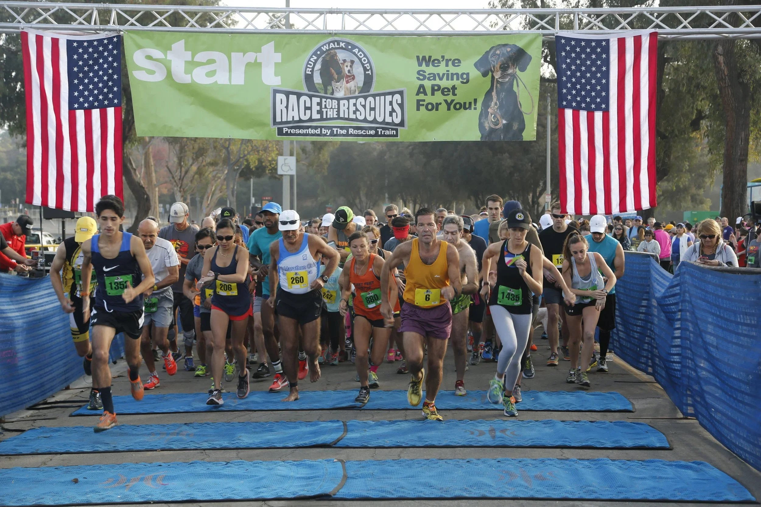 Race for the Rescues