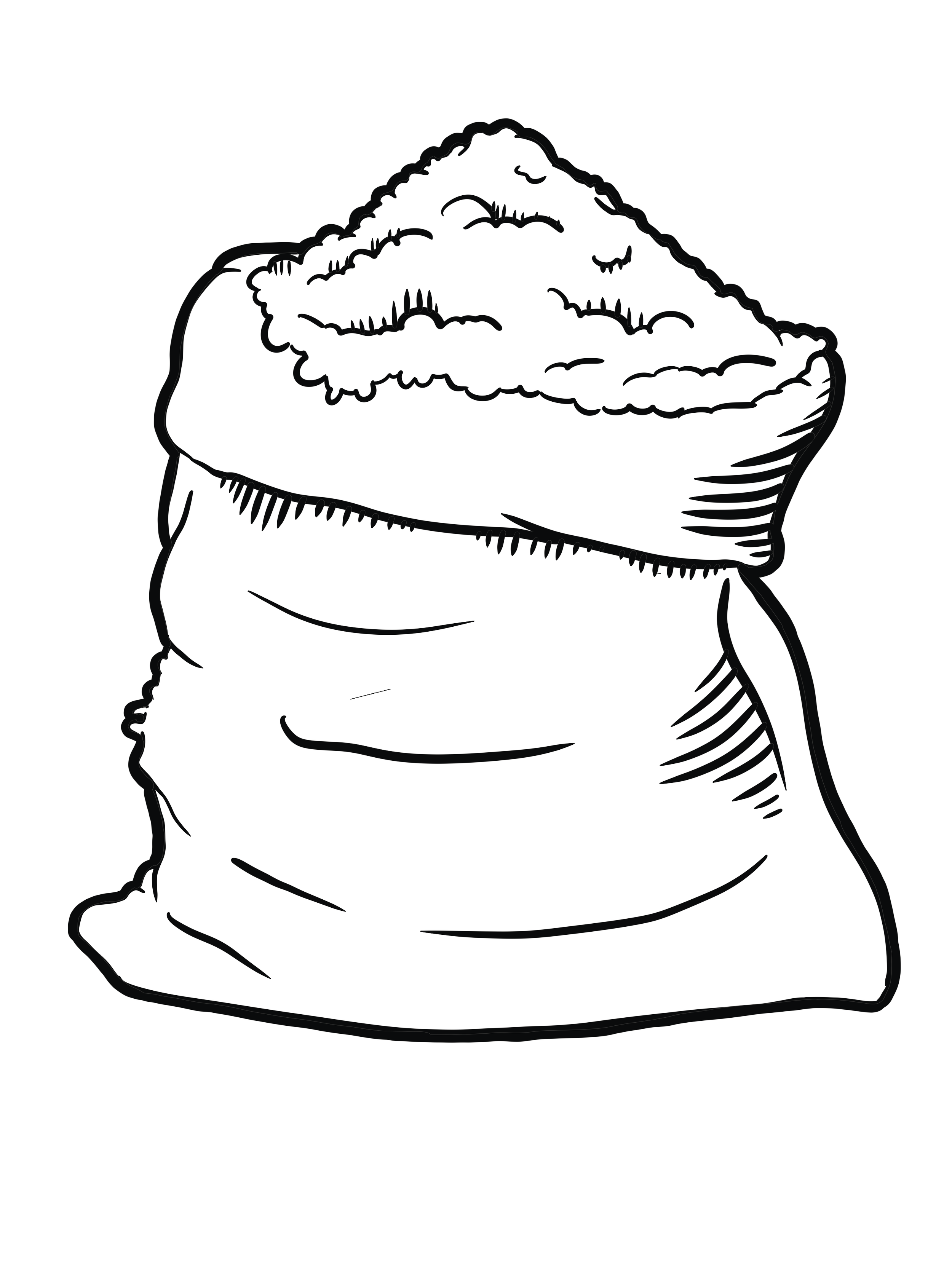 soilsack.png