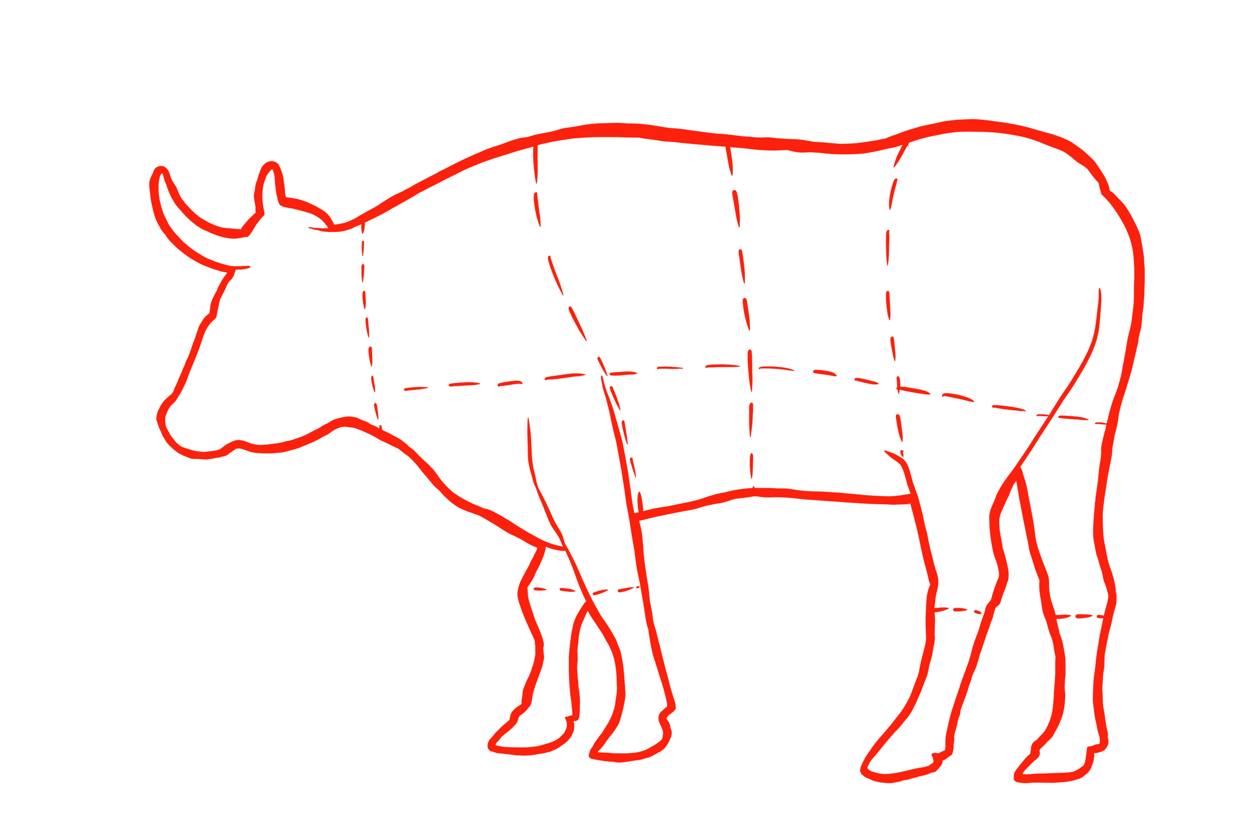 digital illustration of butcher diagram on recipe spread