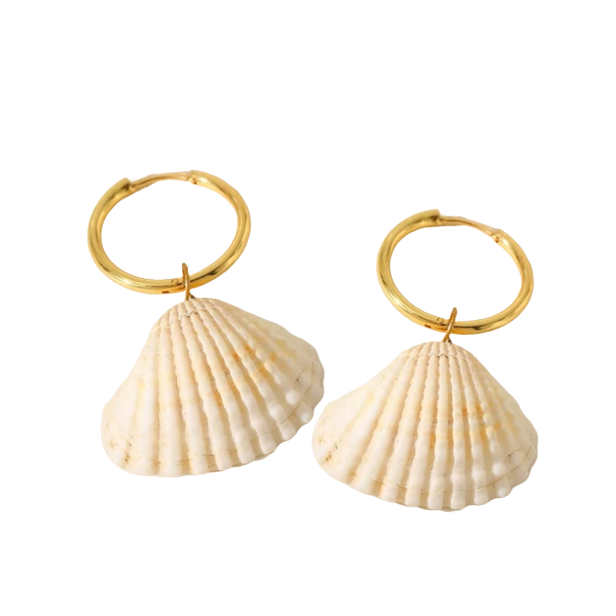 Cockle Shell Earrings