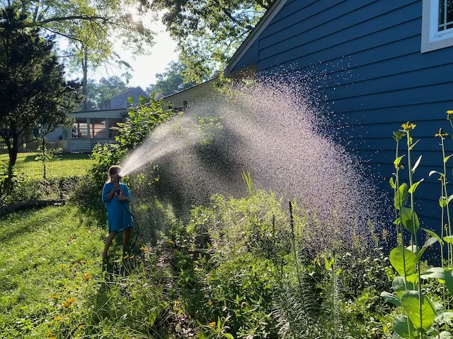 Best Watering Practices for a Healthy Garden