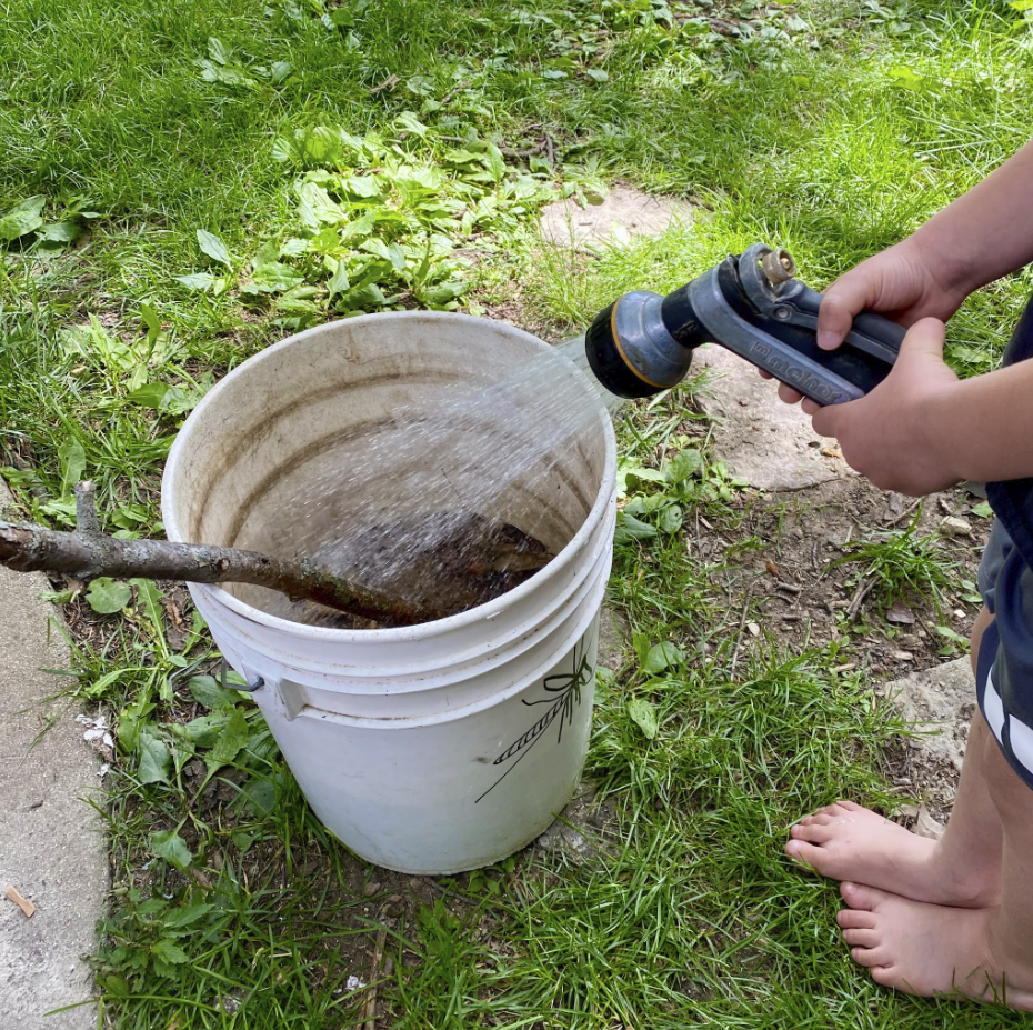 Mosquito Fogging: An Effective Way to Kill Butterflies, Lightning Bugs, and Other Pollinators in Your Yard