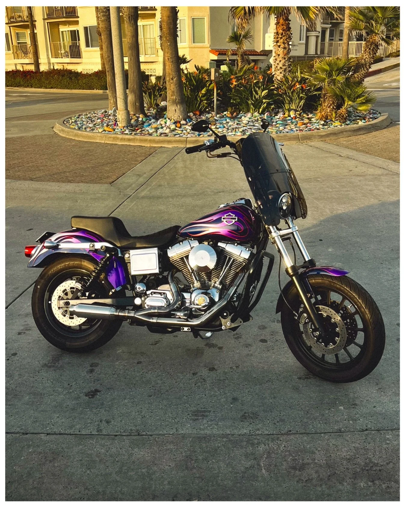 She baaaad 😮&zwj;💨 
&bull;
&bull;
#dyna #fxd #harleydavidson