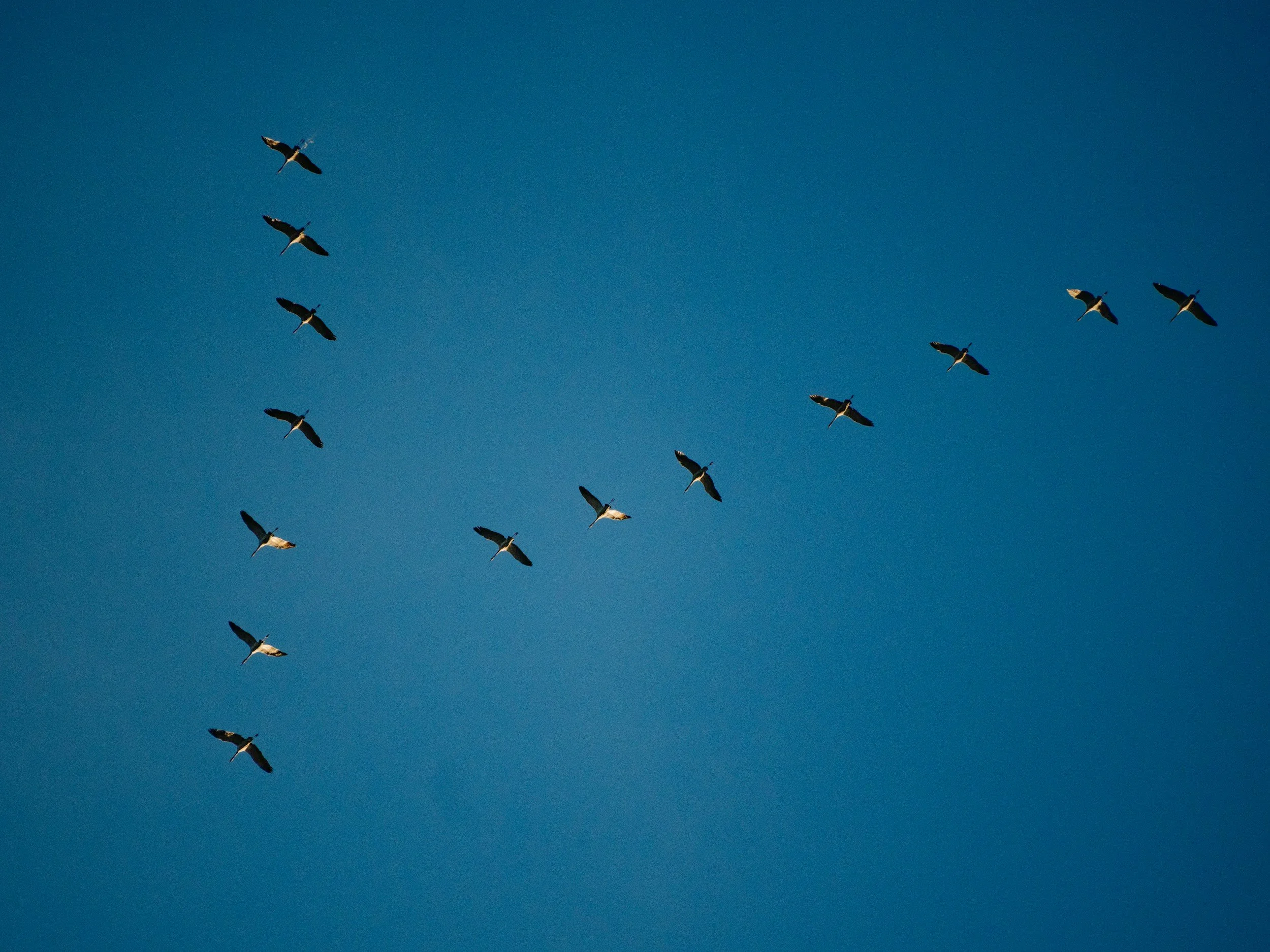 Taking Turns at the Front: A Better Way to Lead