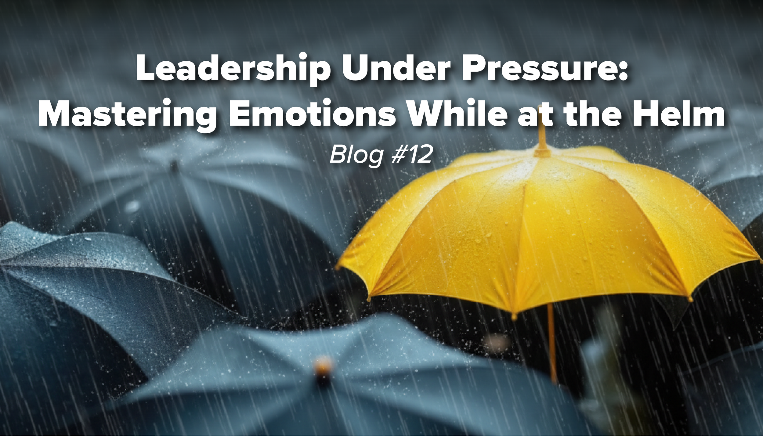 Forged in the Storm: The Making of Emotionally Resilient Leaders