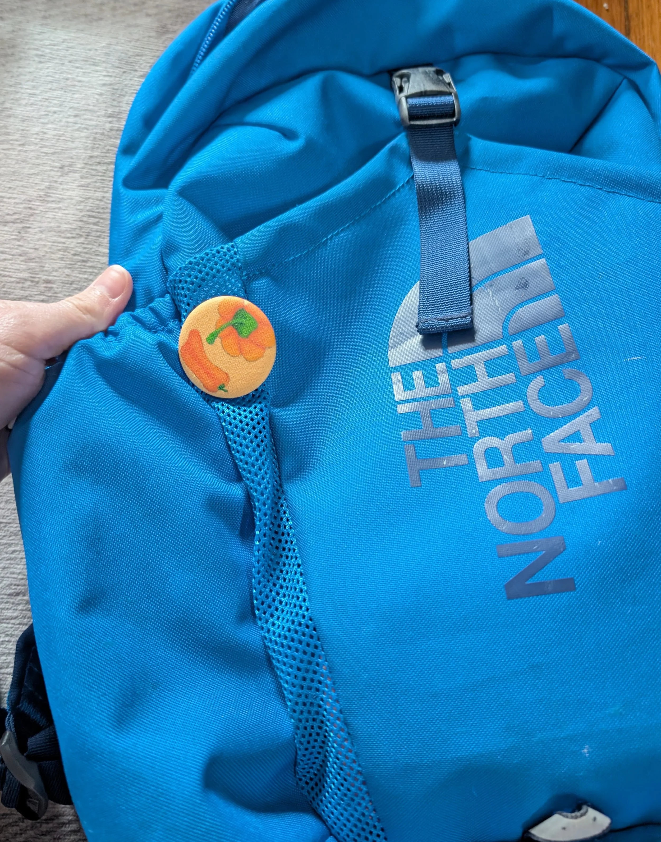 Backpack-Example.jpg (Copy) (Copy) (Copy)