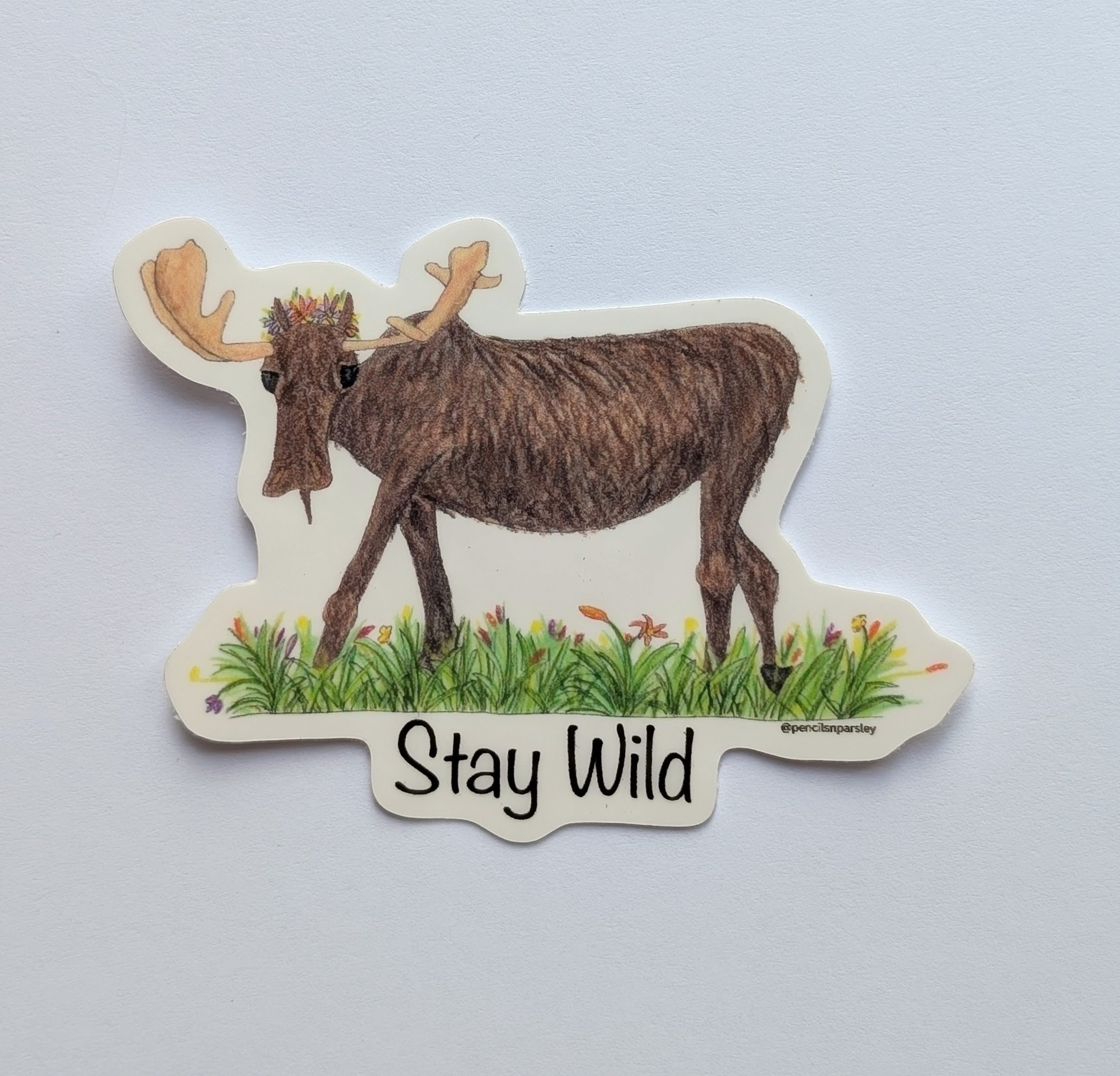 Moose1.jpg
