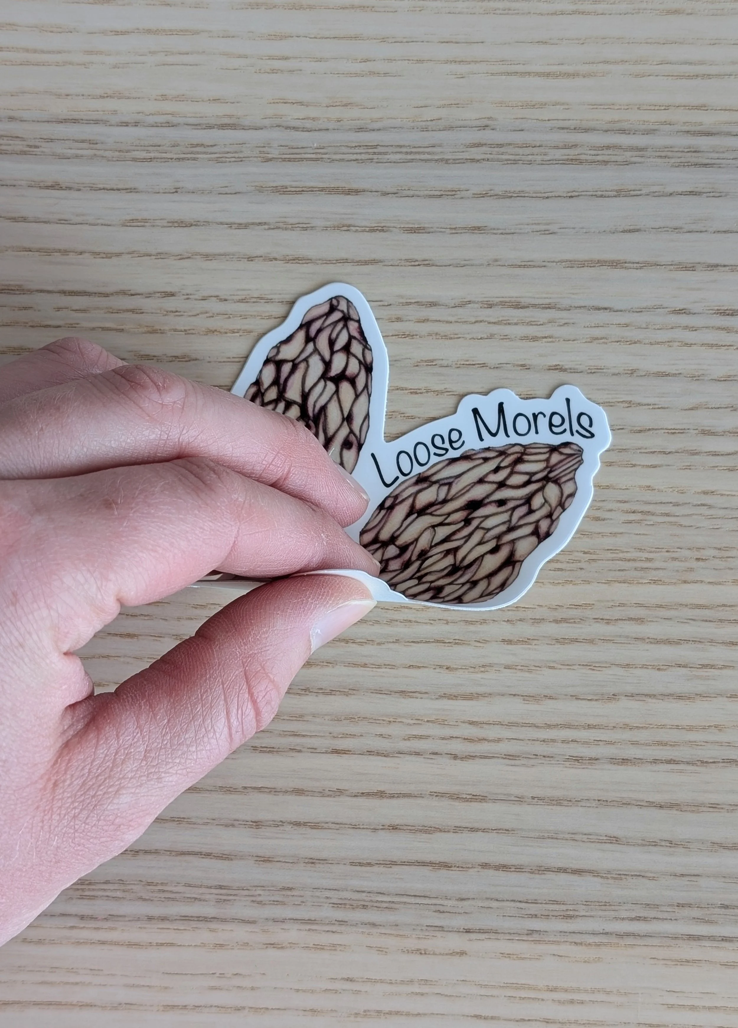 Edge view of "Loose Morels" vinyl sticker featuring two hand drawn mushrooms and the text "Loose Morels".