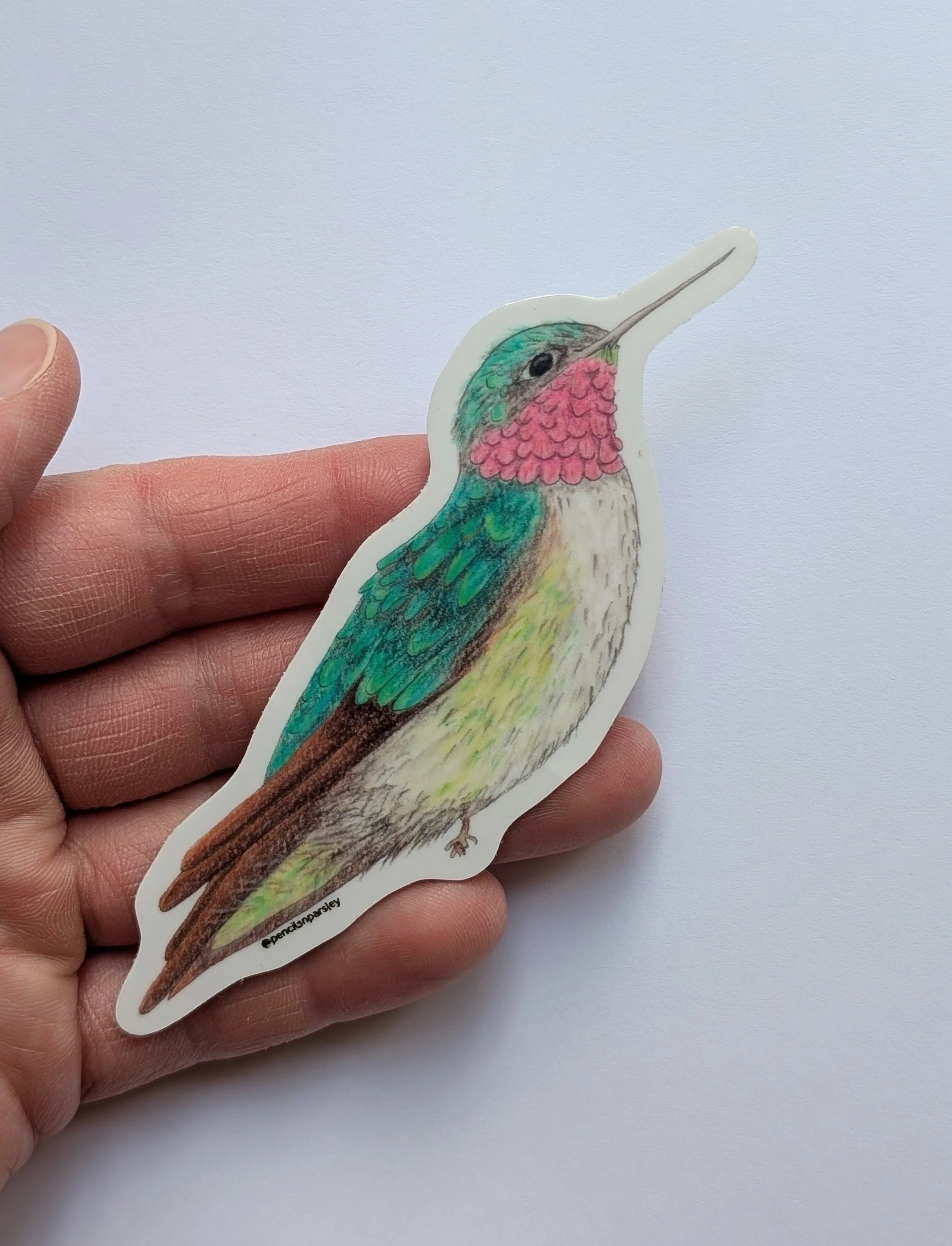 Hummingbird2.jpg