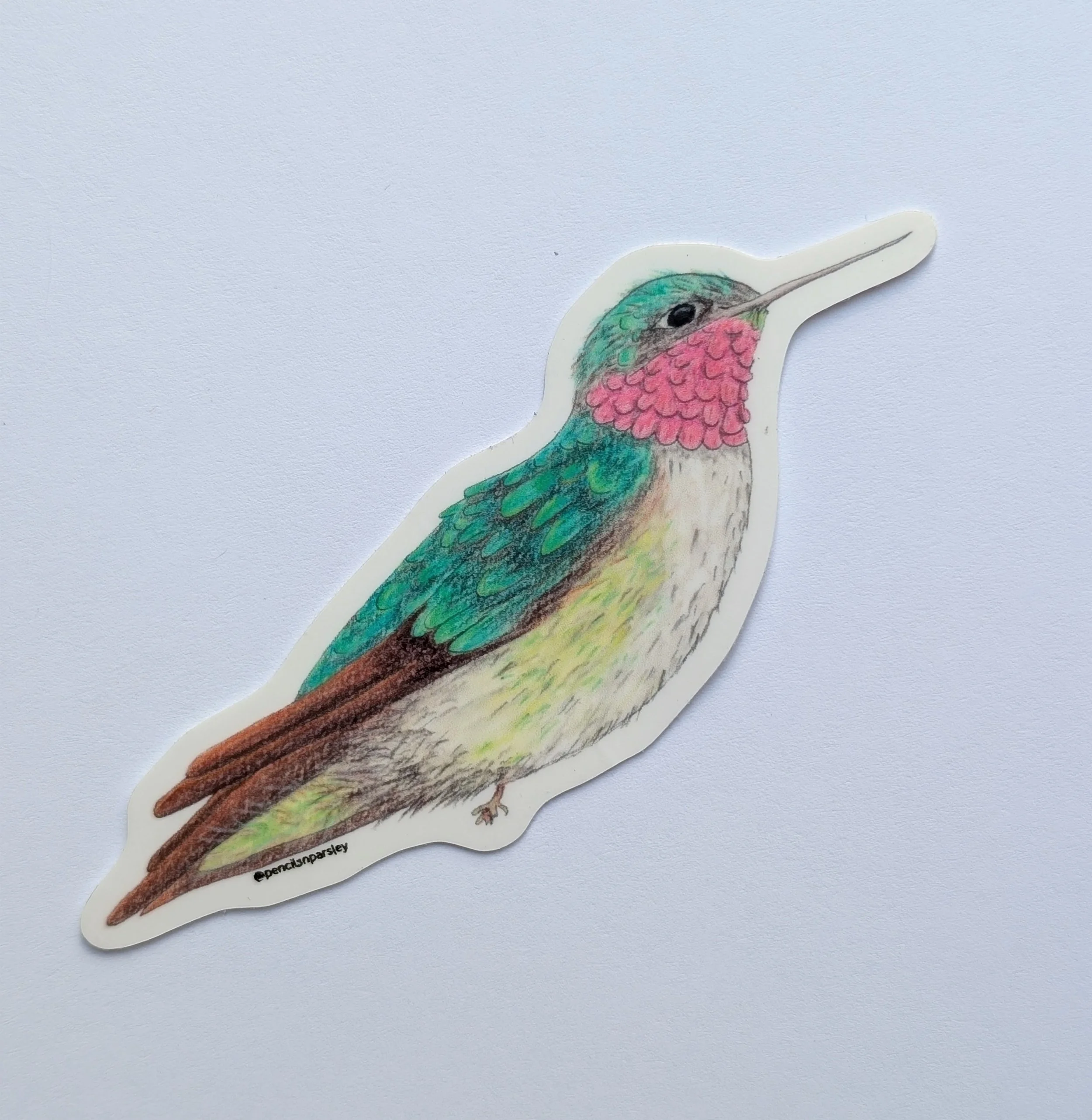 Hummingbird1.jpg