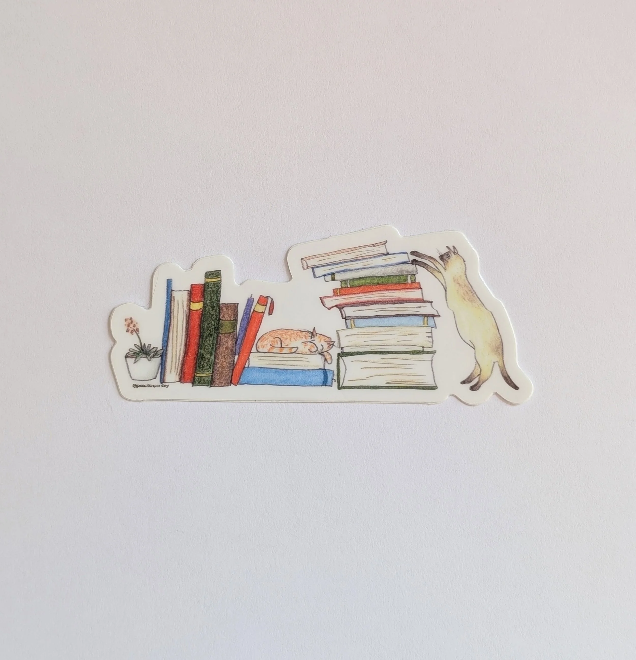 LibraryCats1.jpg