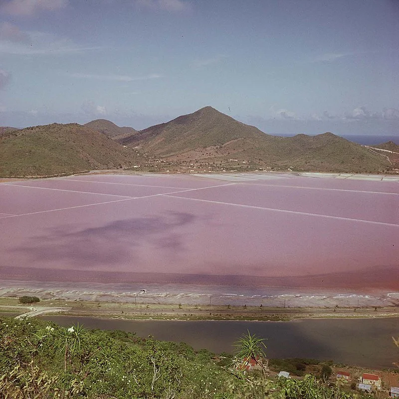 Salt Pond 1964.jpg