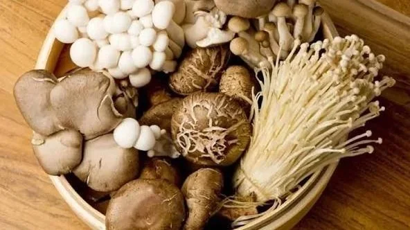 Small Scale Mushroom Production Workshop