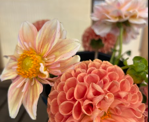 Dandelion Floral Farm Tour