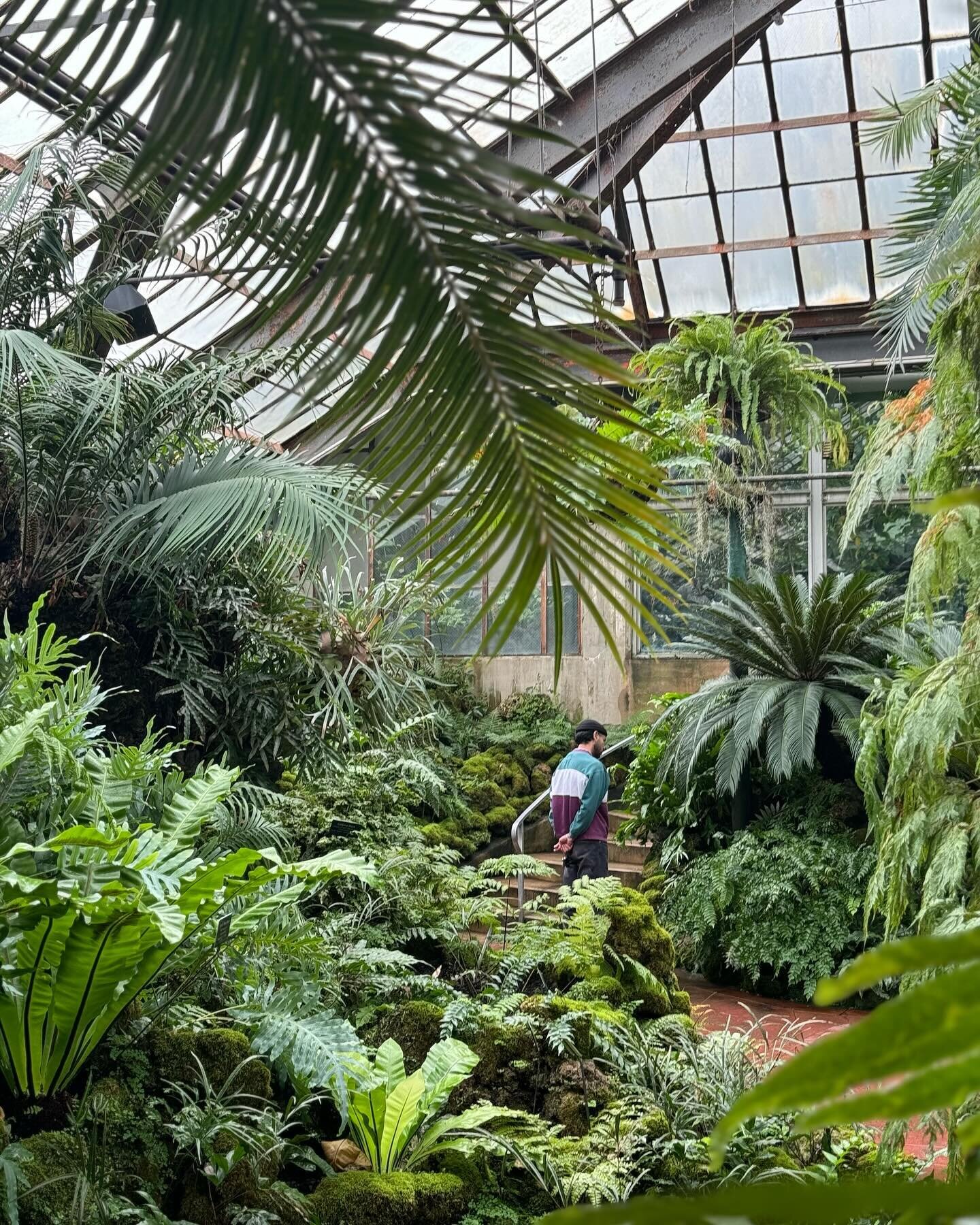 Today we had our monthly team outing spending time at the conservatory and butterfly room followed by lunch. 🦋