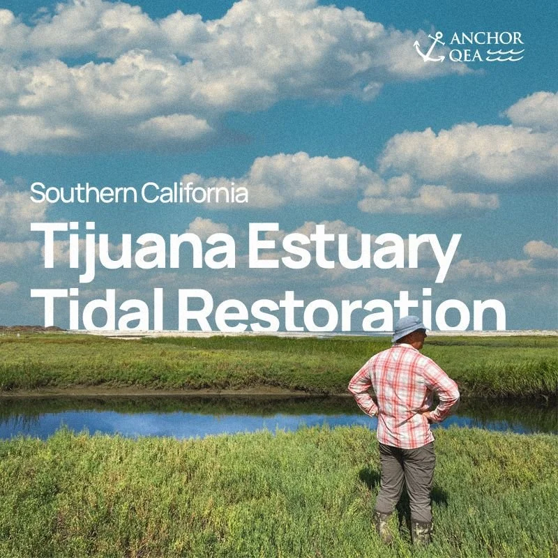 Tidal Restoration.jpeg