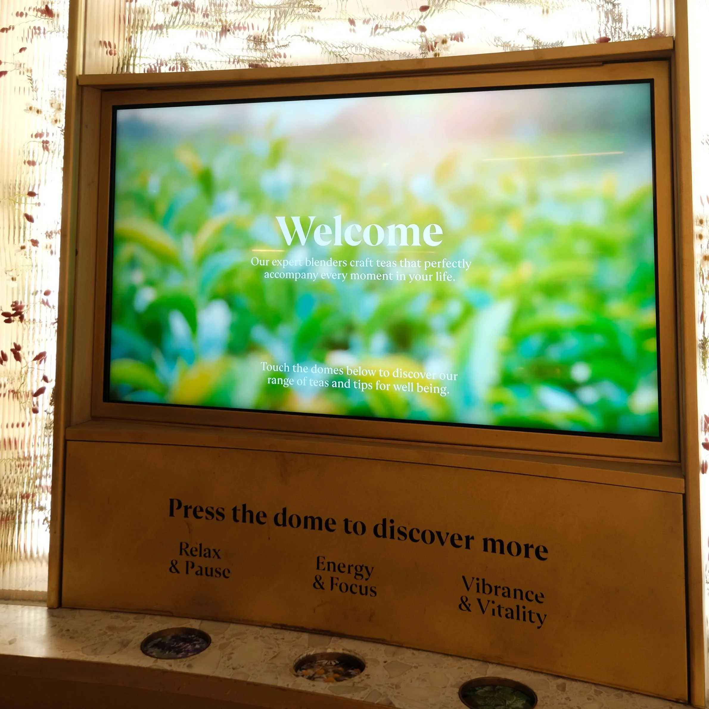 Interactive Curation Element