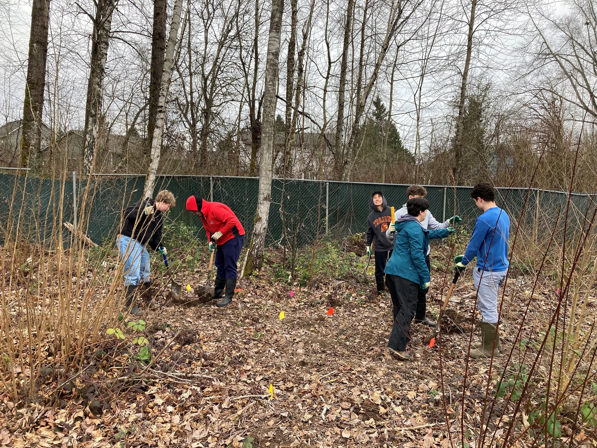 A Wetland Becomes a  Classroom