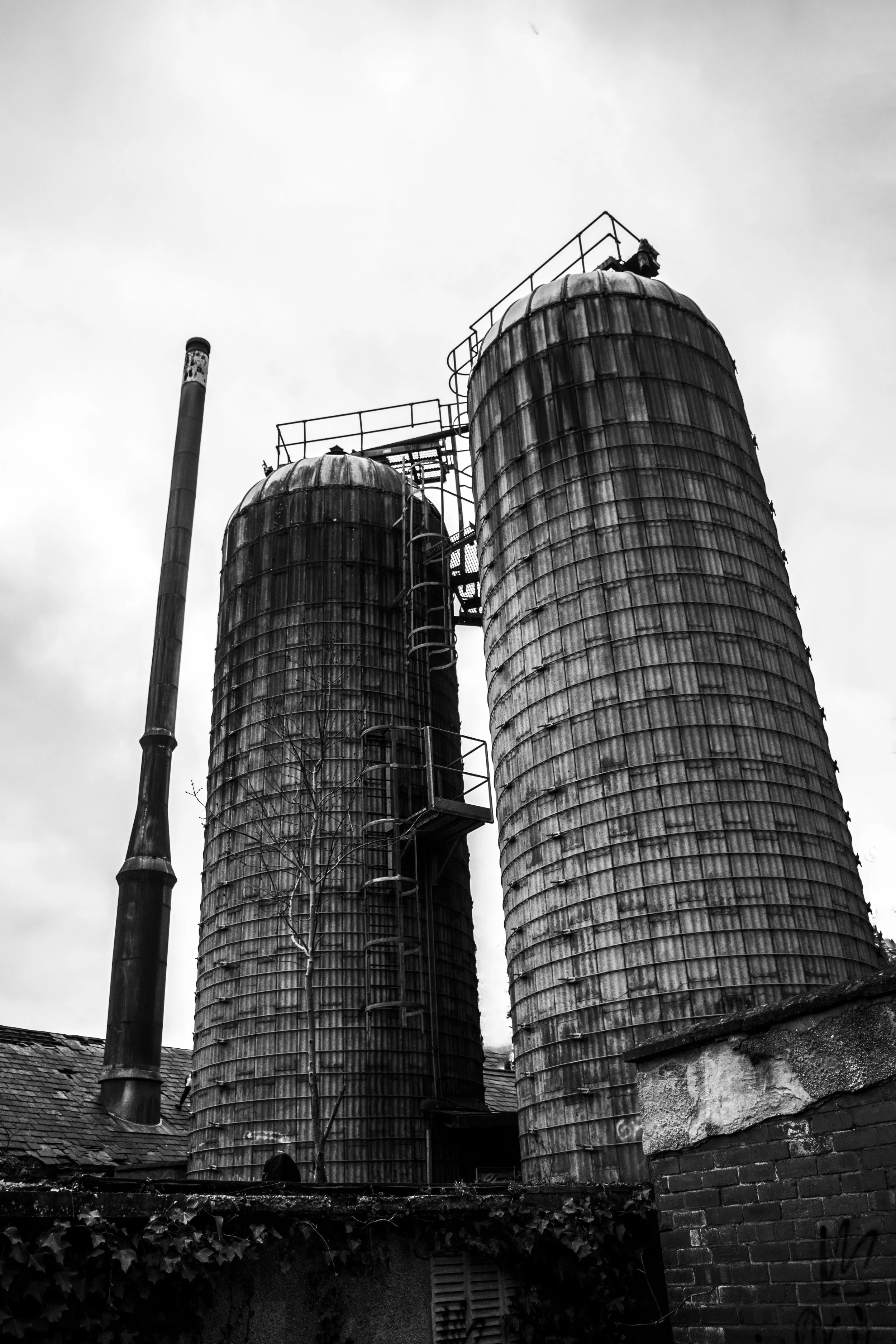 DSC_0412.jpg