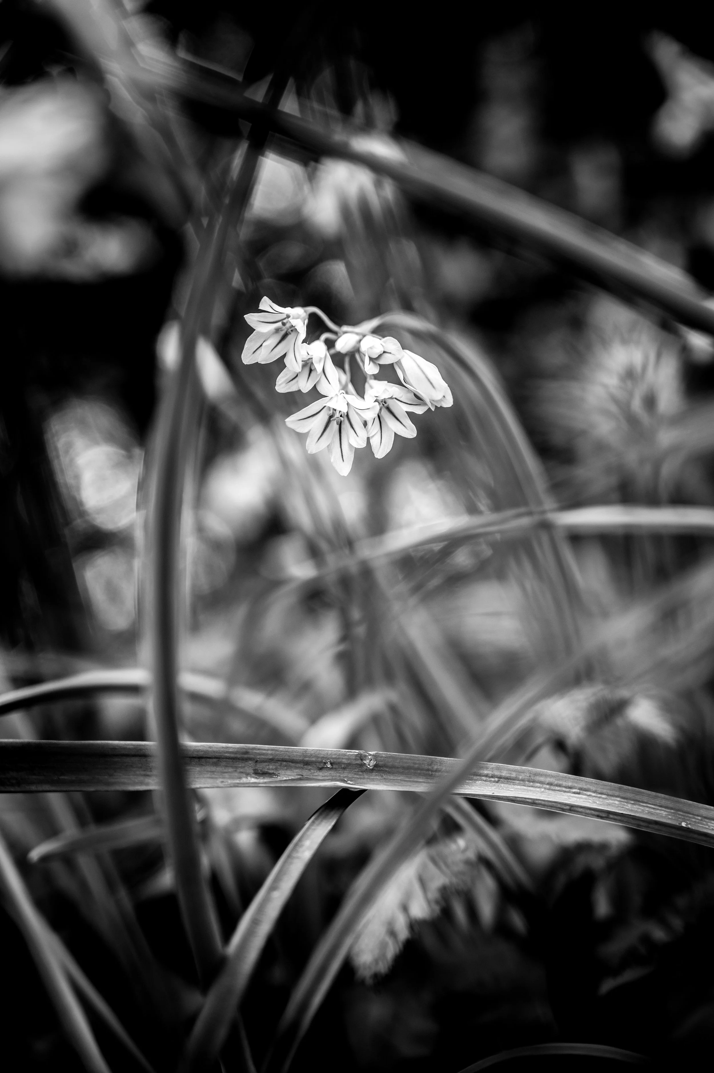 DSC_0377.jpg