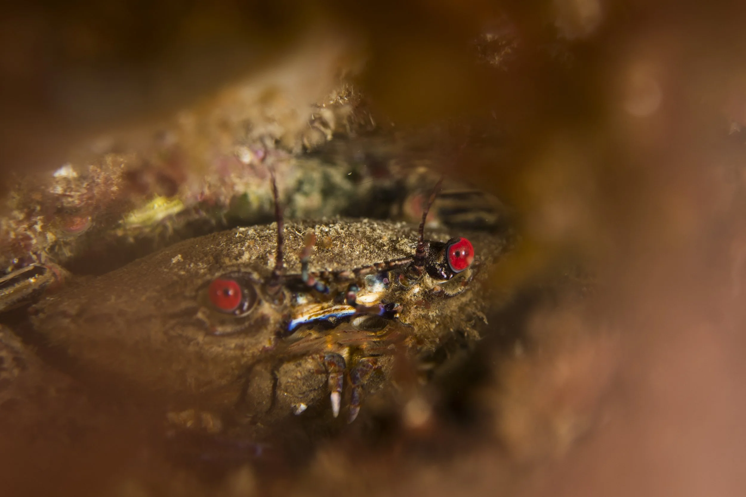 DSC_3397.jpg