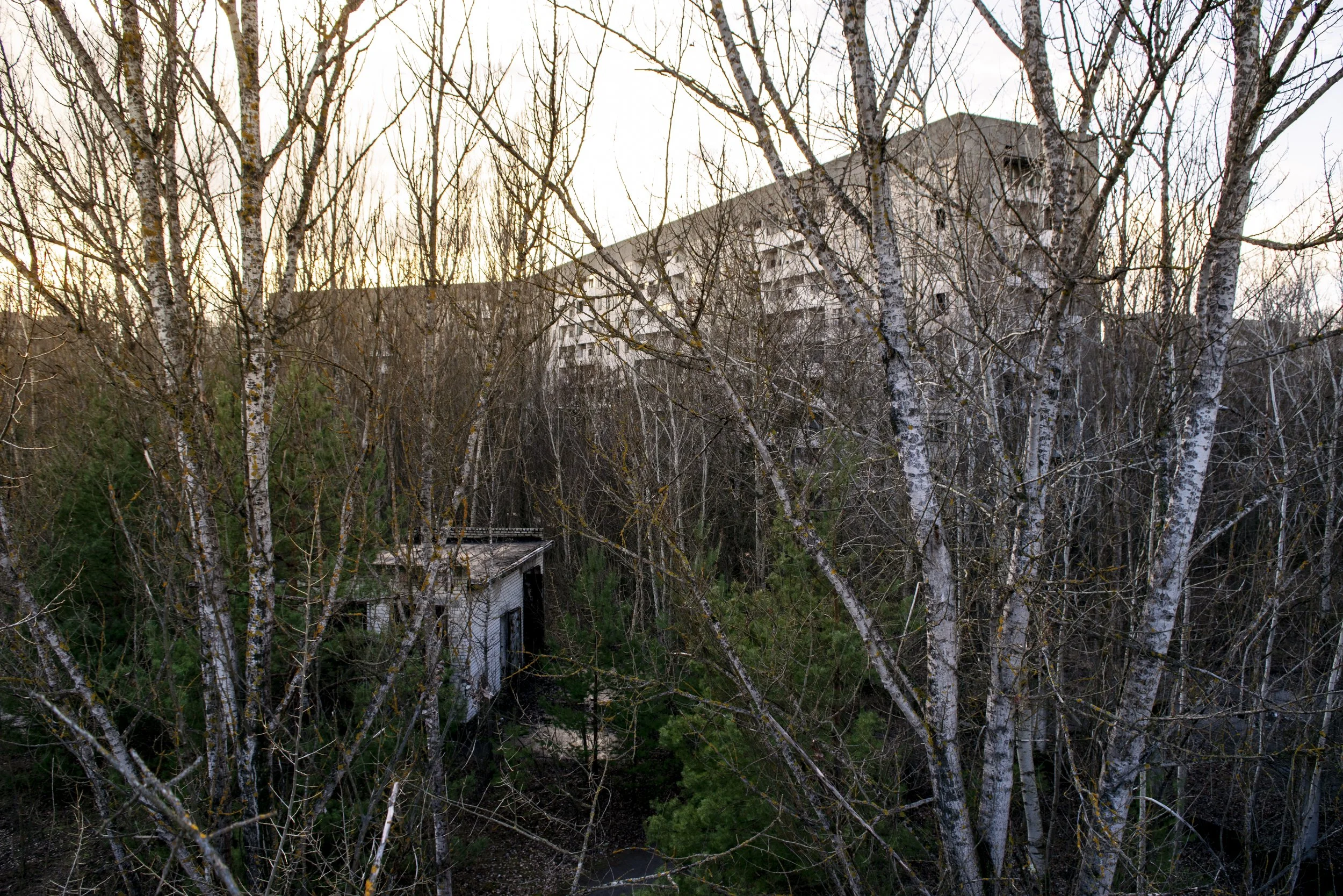 DSC_0473.jpg