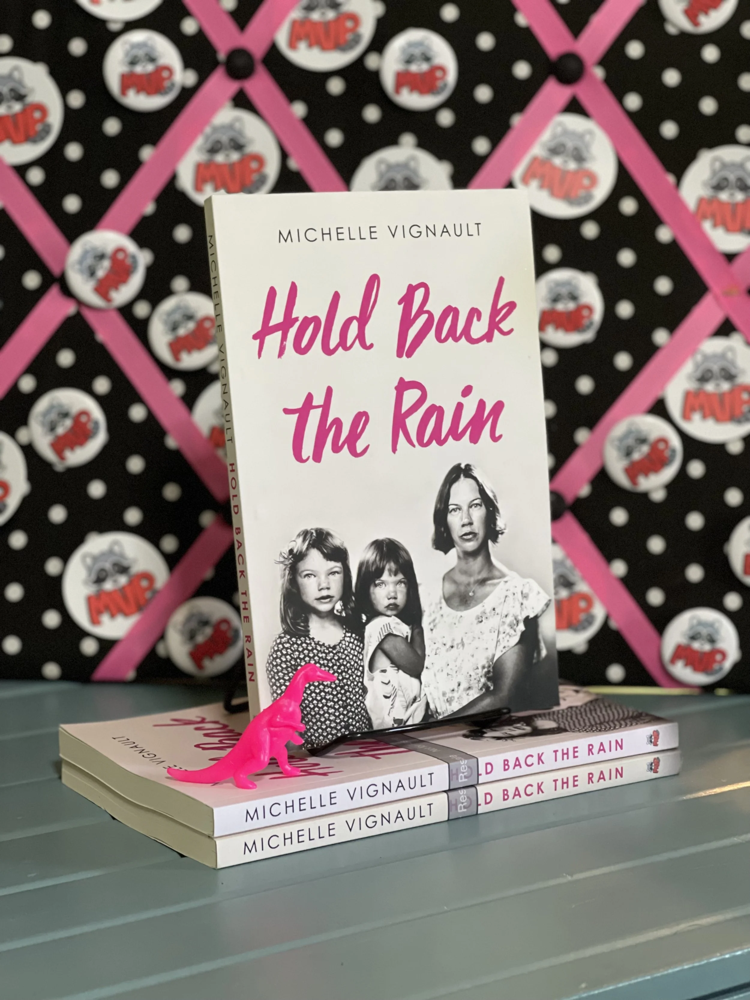 Michelle Vignault Hold back the rain book