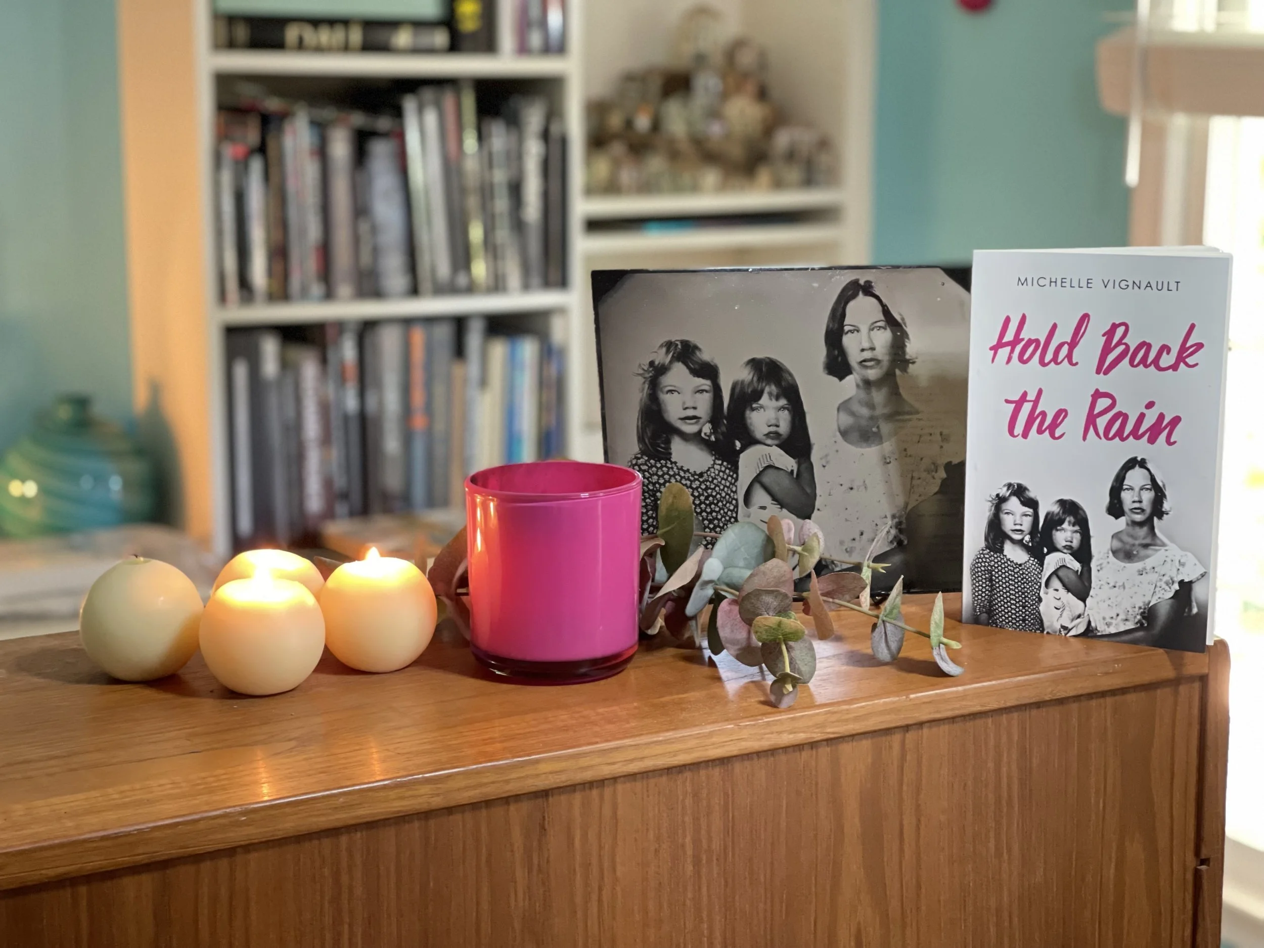 Michelle Vignault Hold back the rain book