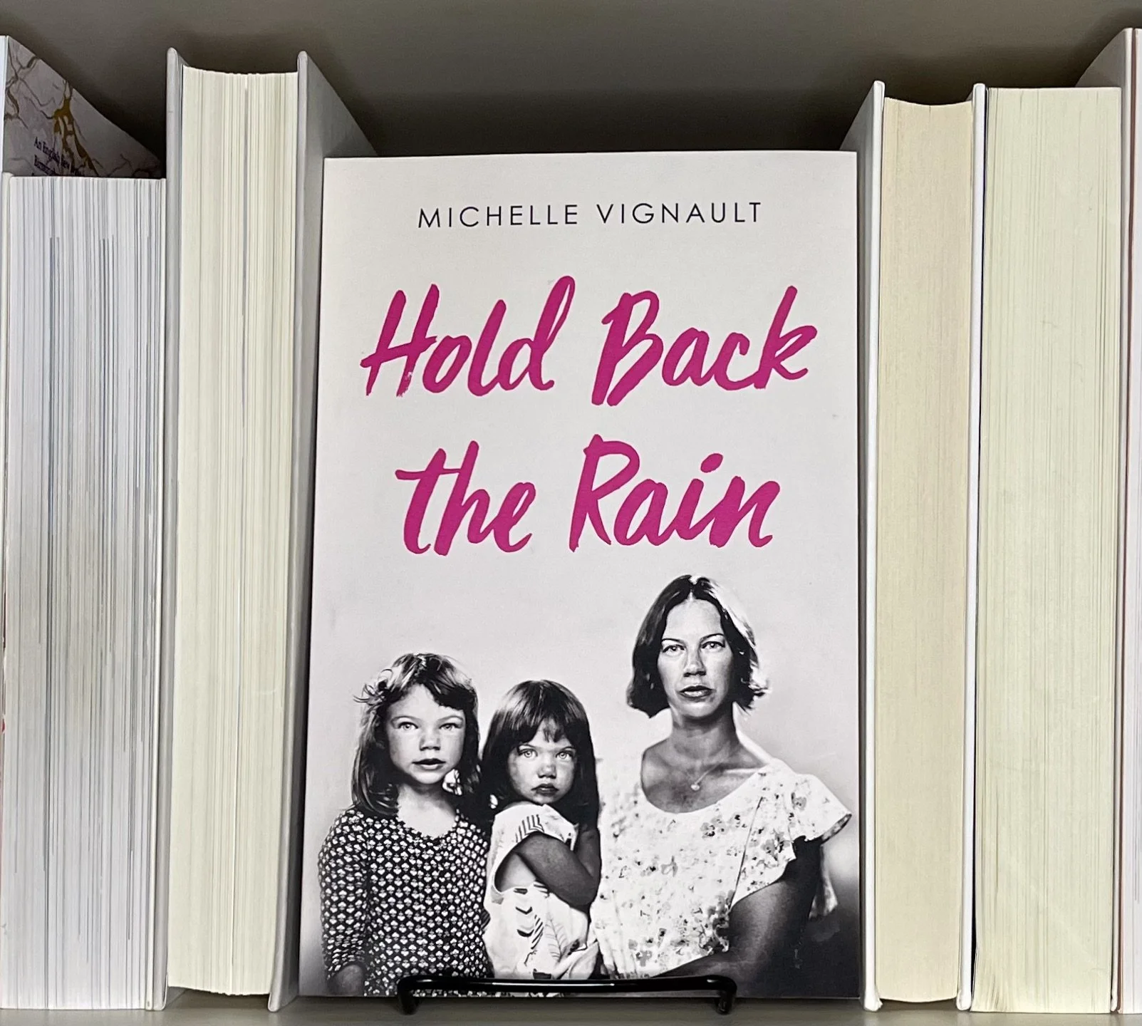Michelle Vignault Hold back the rain book