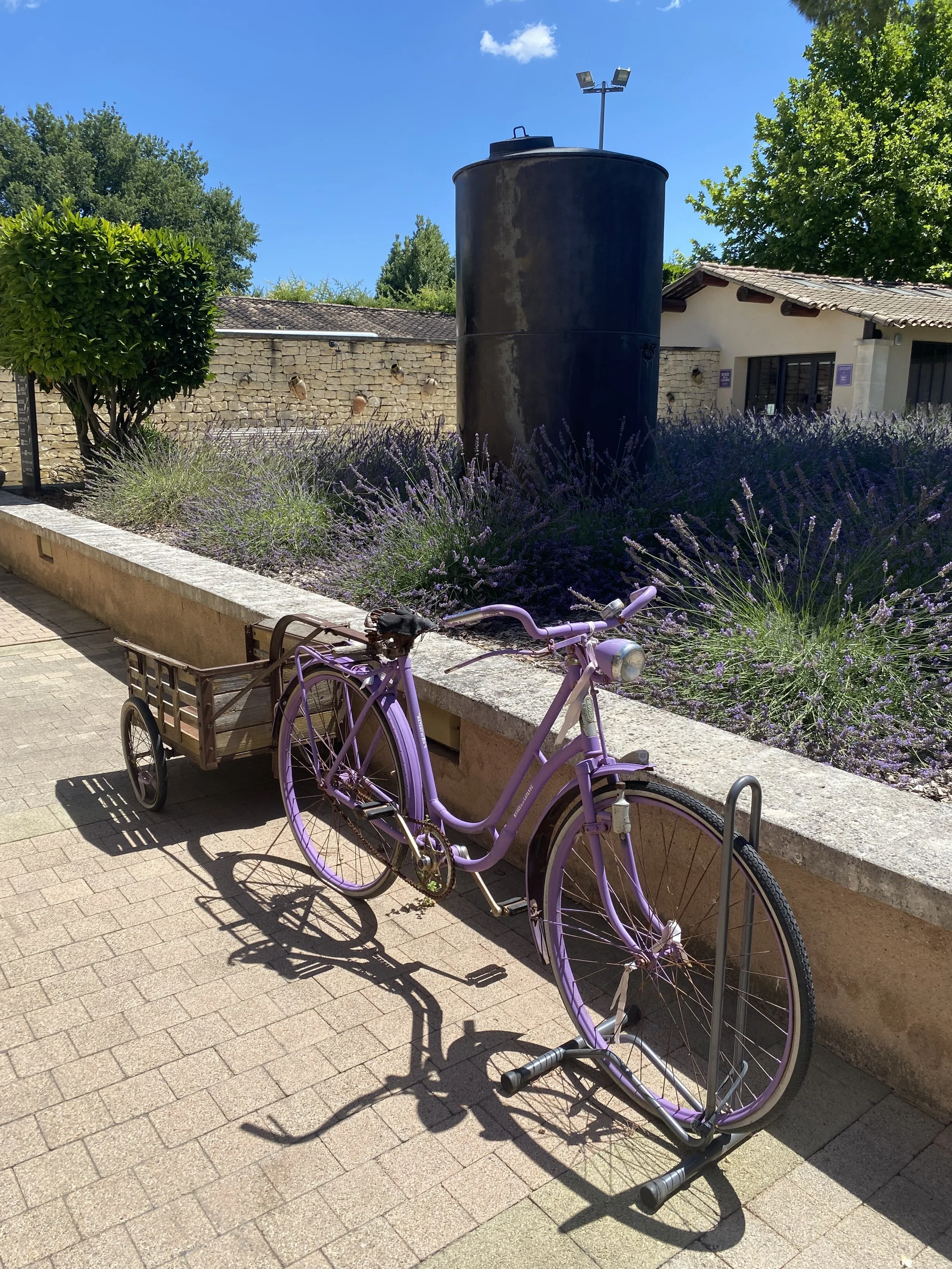 IMG_6182.jpeg