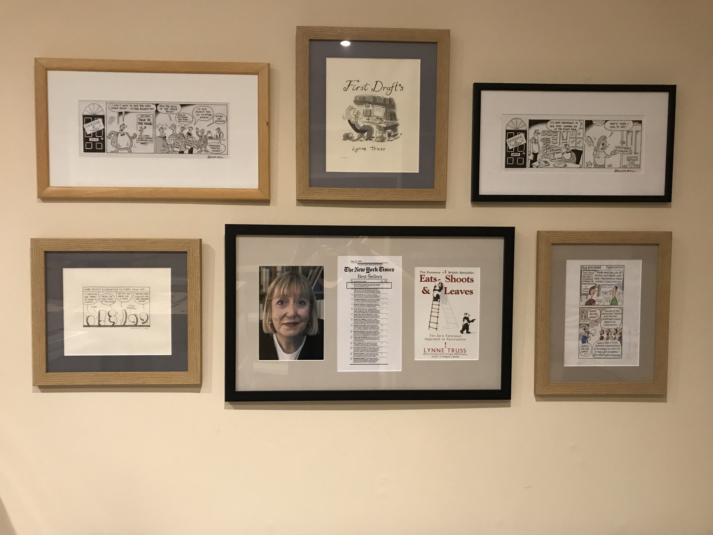 Cartoons etc