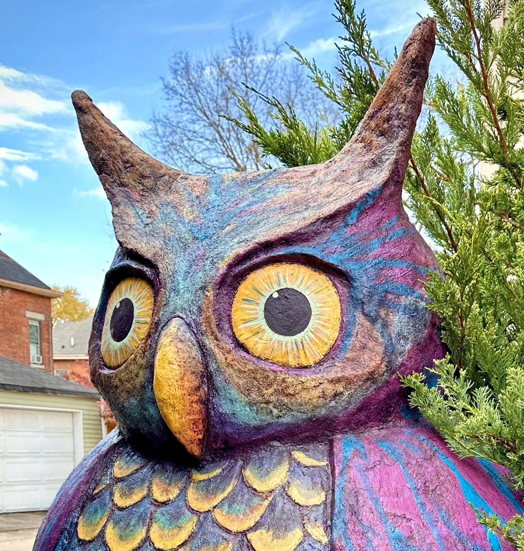 The Secret Owl Project