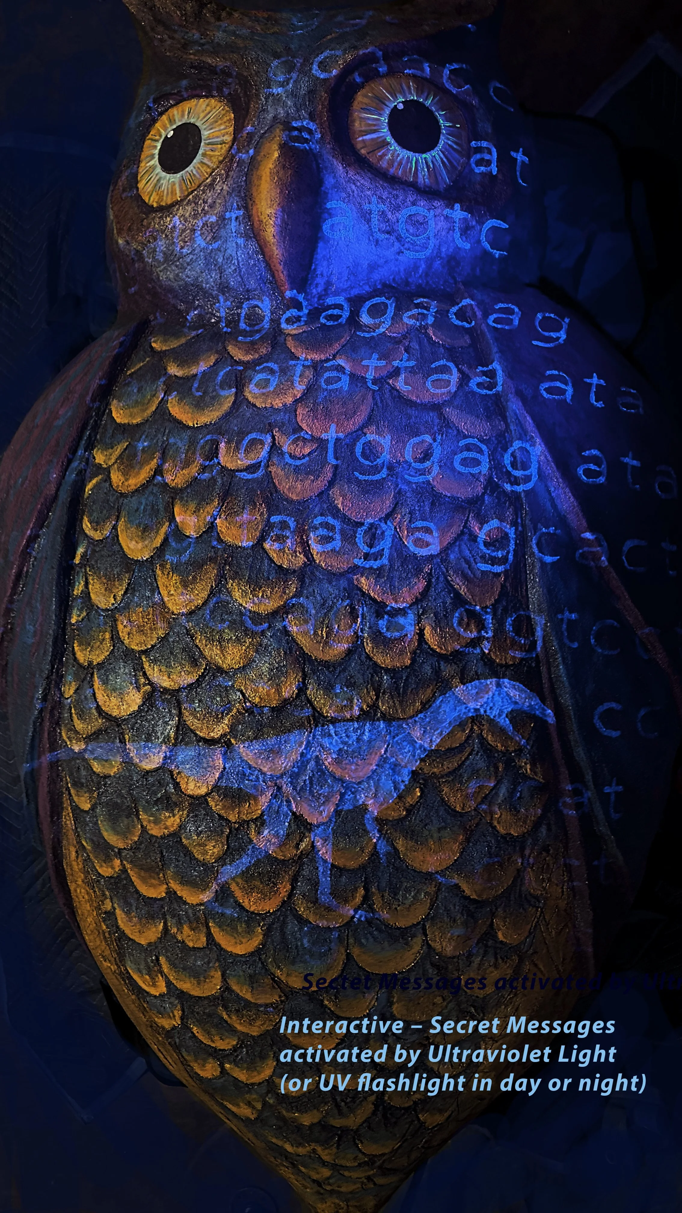 Owl_Secret_Message_25 copy.jpg