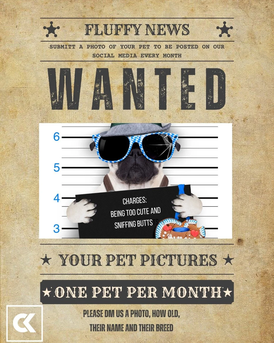 WANTED: The cutest pet bandits around! 📸🐾

Snap a pic of your adorable furry felon and snag a spot in our monthly birthday calendar. Slide into our DMs with a picture, name, age, and breed. Post will start January.  Let&rsquo;s catapult them to sta
