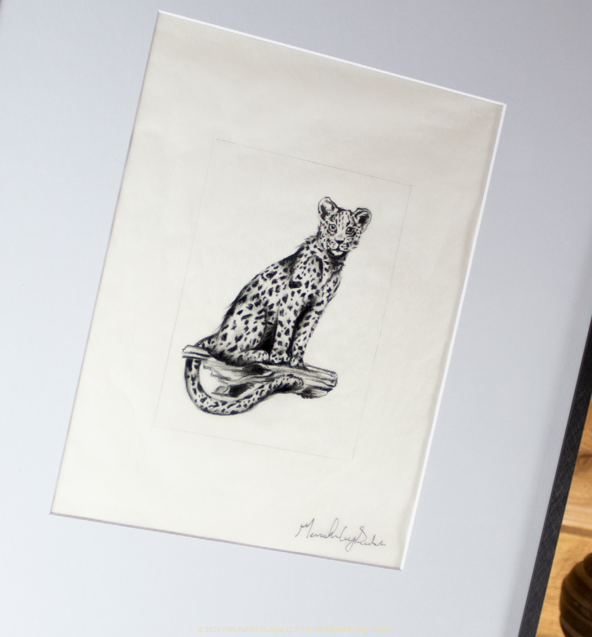 FR26Shop_CheetahSketch3.png