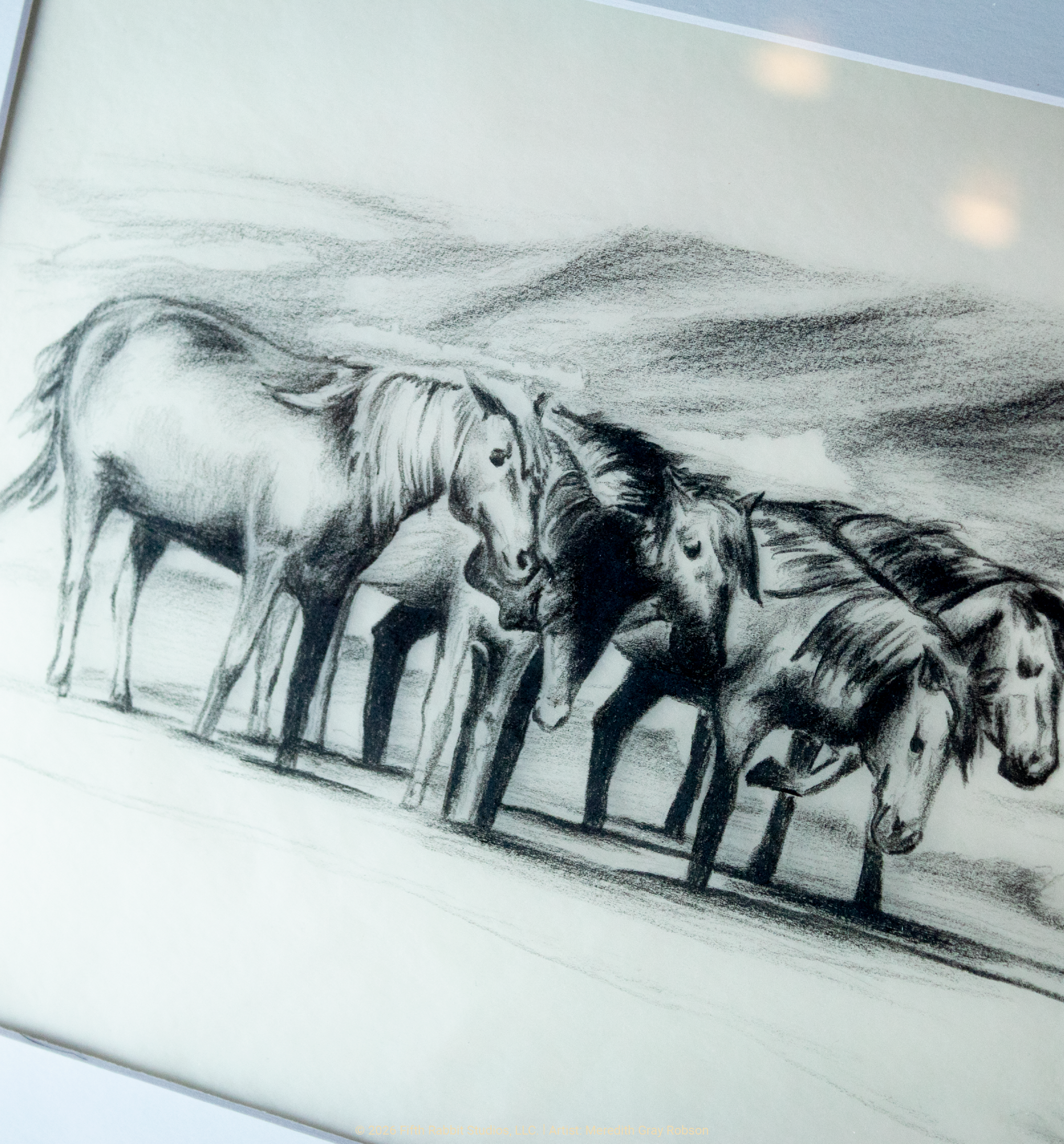 FR26Shop_AssateagueIslandWildHorsesSketch2.png