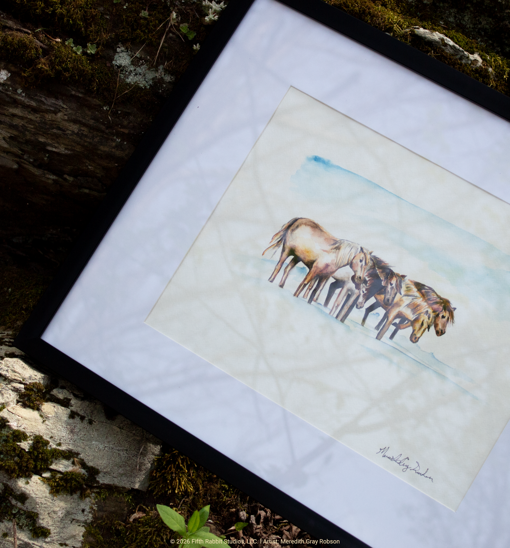 FR26Shop_AWildHorsesWatercolor.png