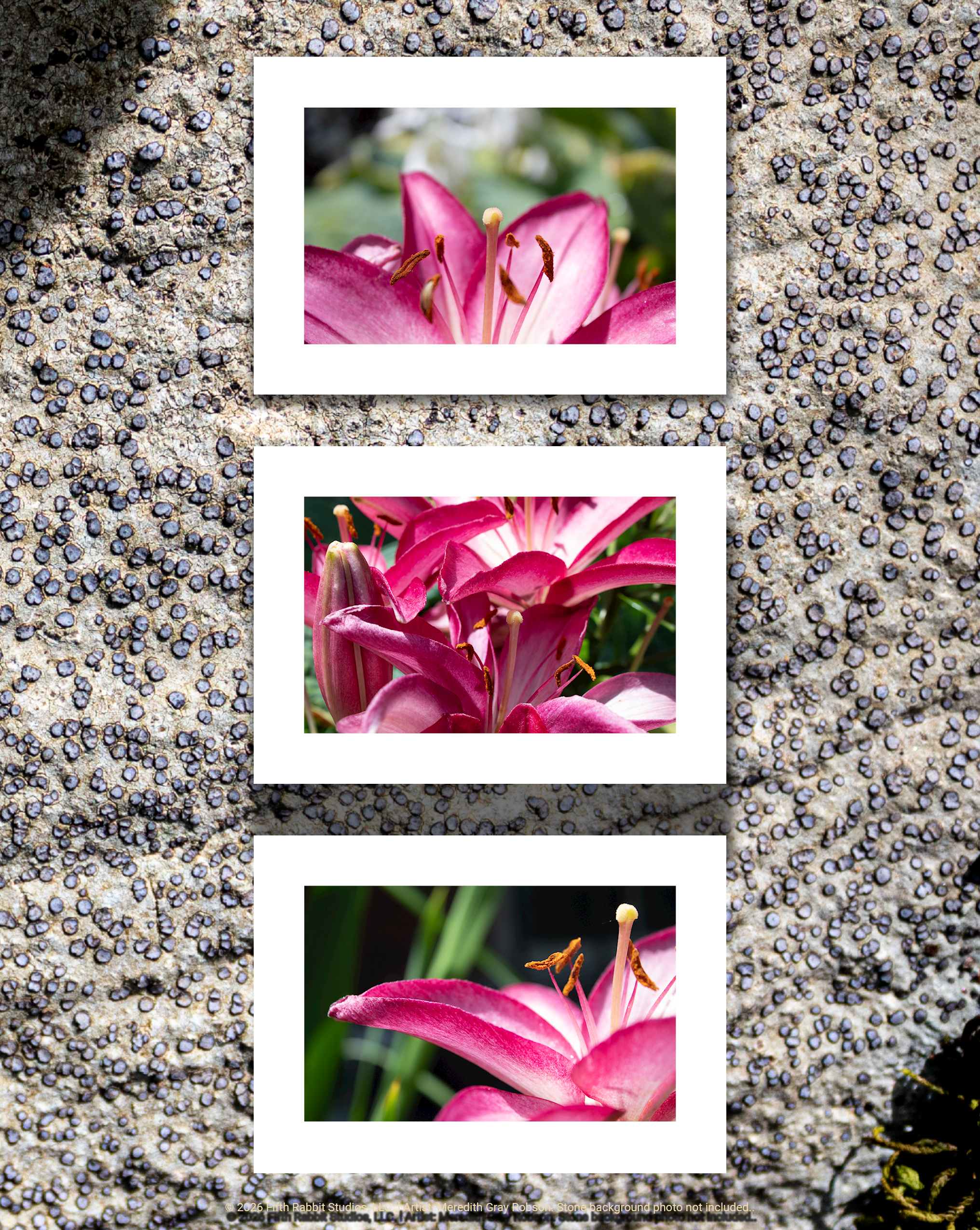 FR26Shop_PRINT_NoGildingNecessaryTrio.png